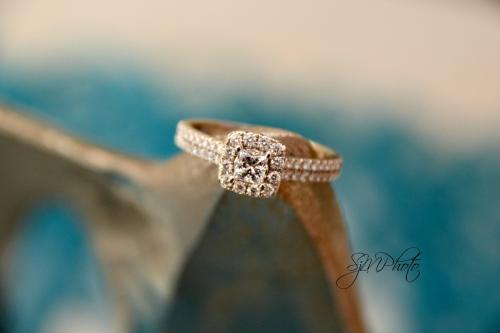 Engagement Portraits